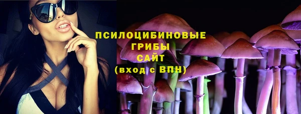 трава Наволоки