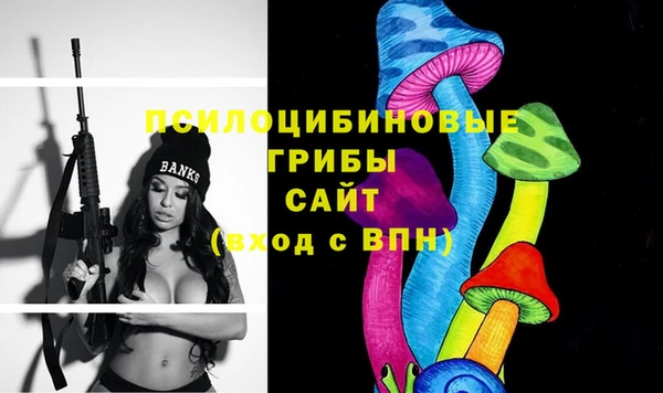 МДПВ Нефтекумск