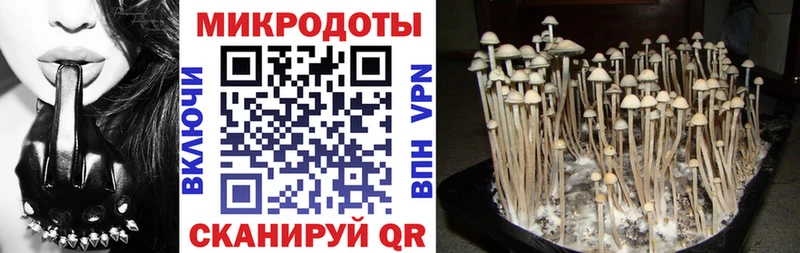 где можно купить   Котово  Псилоцибиновые грибы прущие грибы 